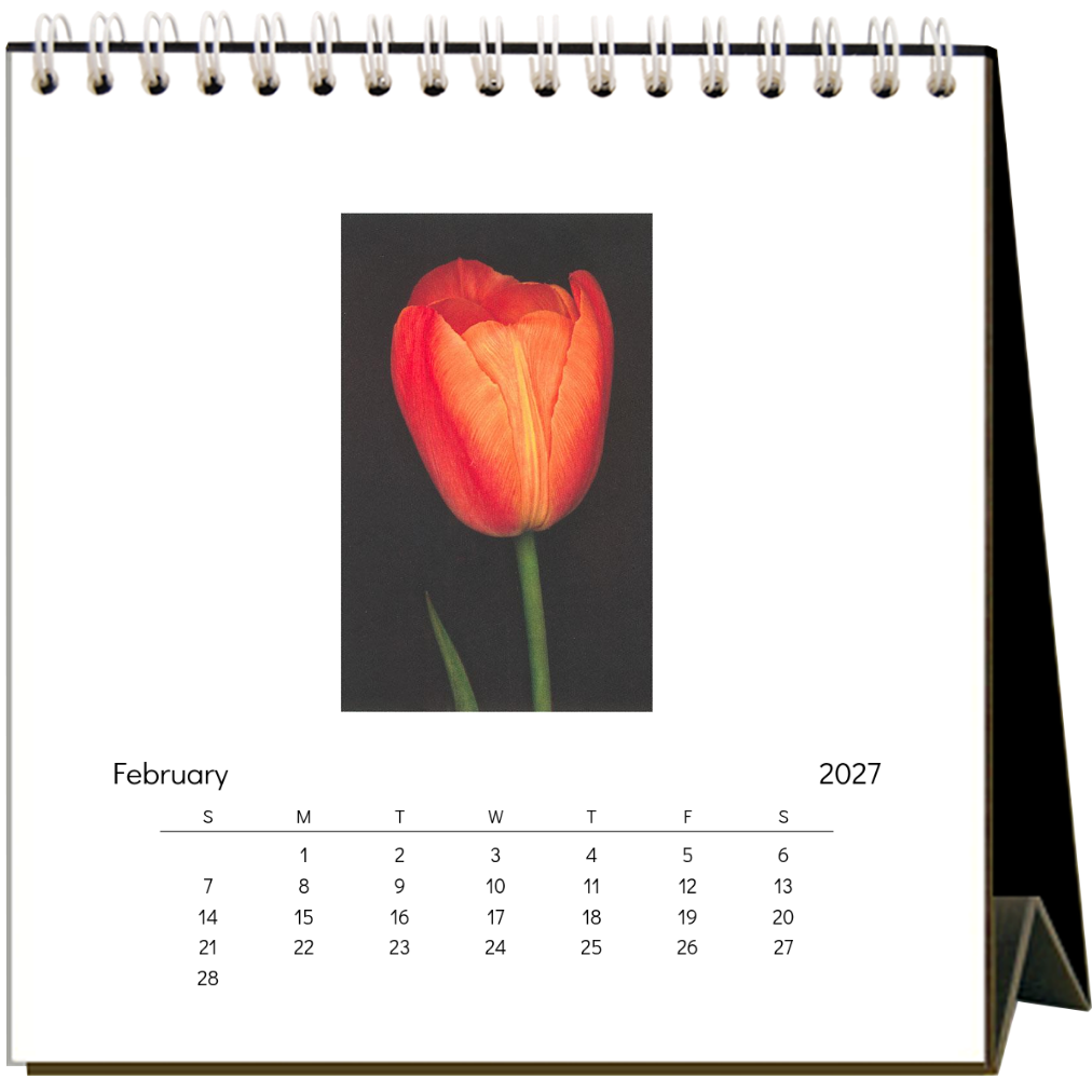 Found Image Press - Flowers 2027 Desk Calendar