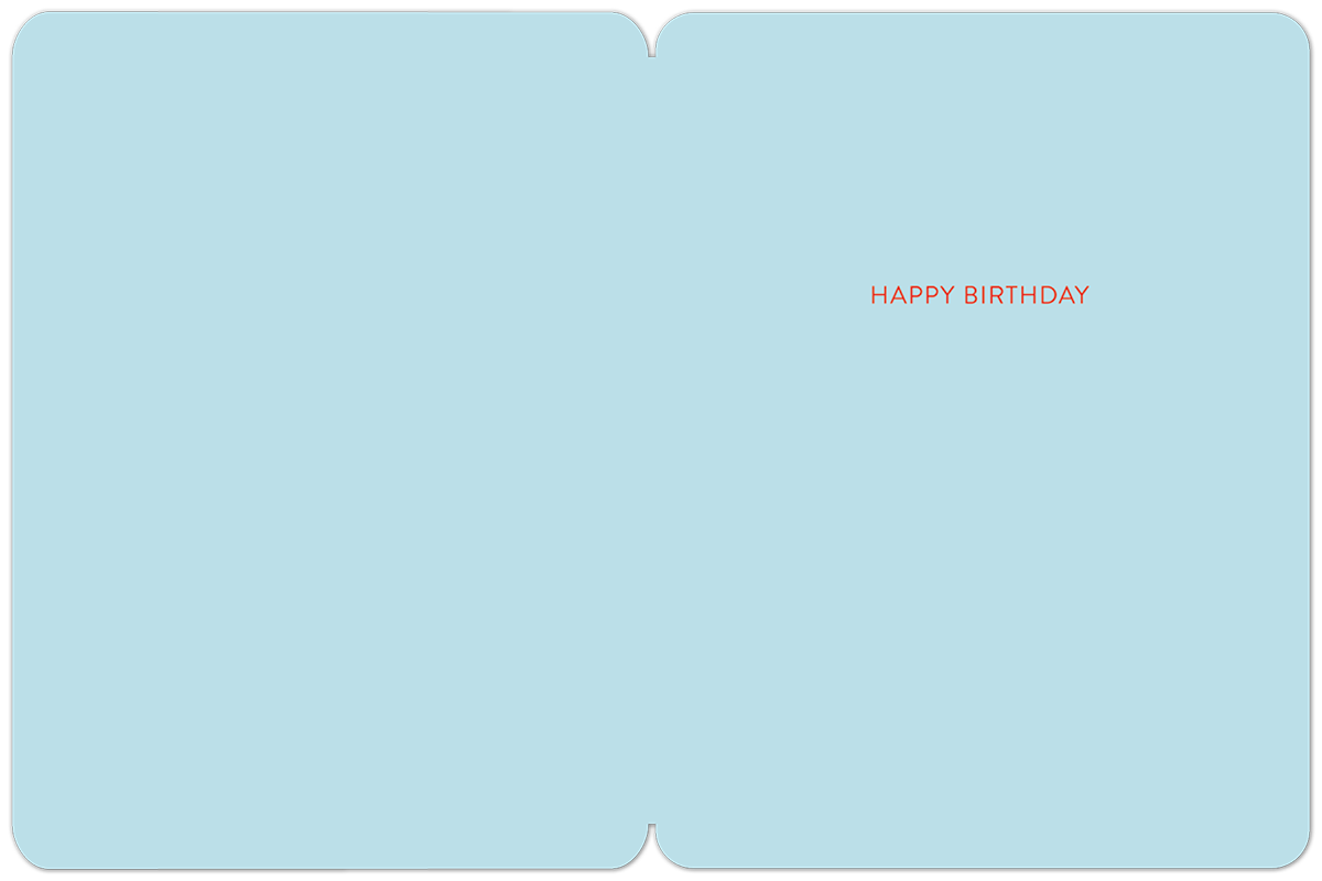 Willow & Ivy Press - Hello Handsome Birthday Card