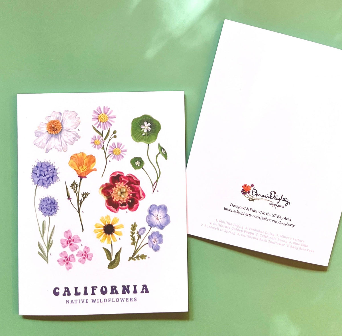 Brenna Daugherty Illustration - California Native Wildflowers Card