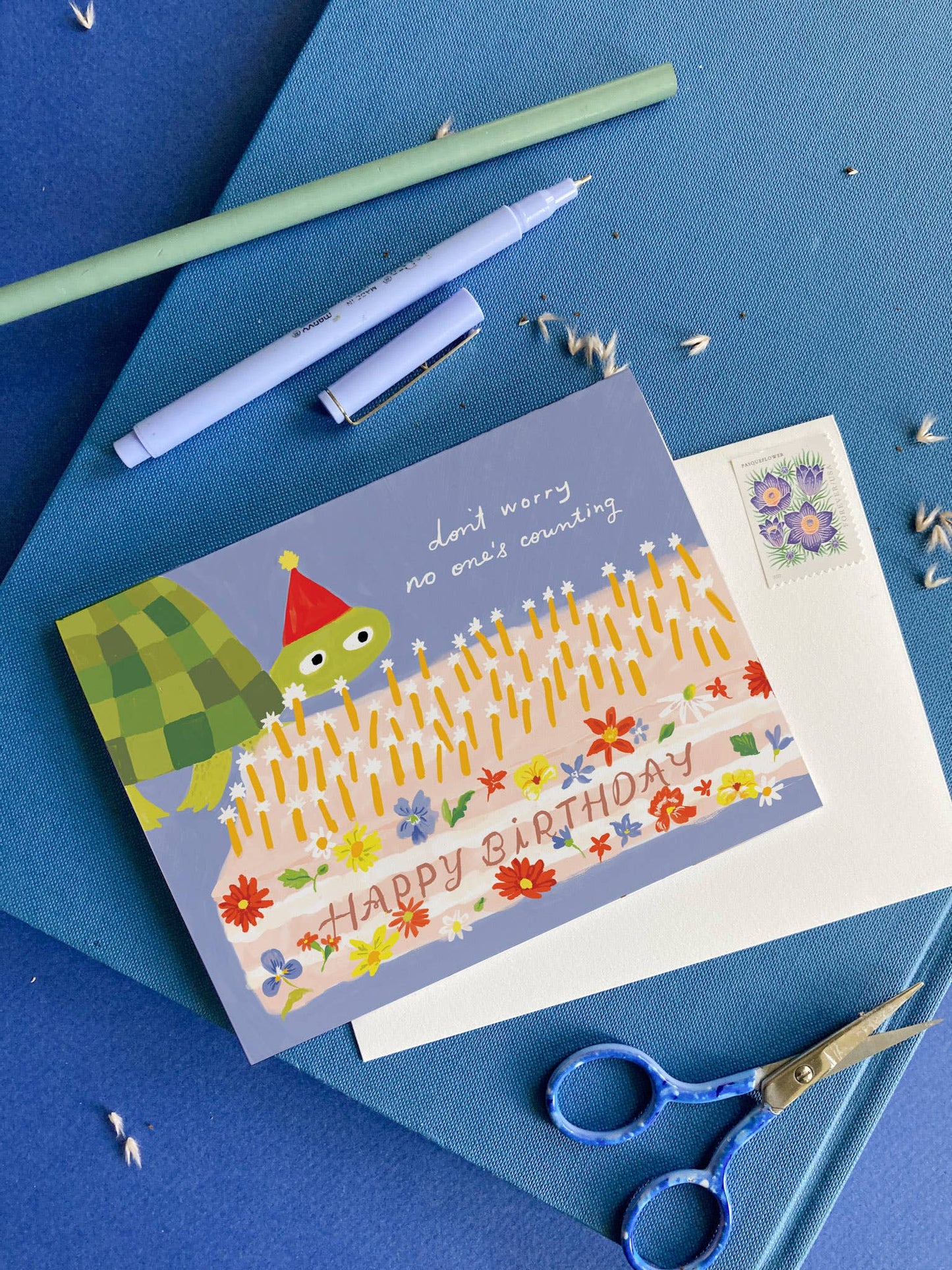 Karen Schipper - Turtle Birthday – Funny Animal Birthday Card