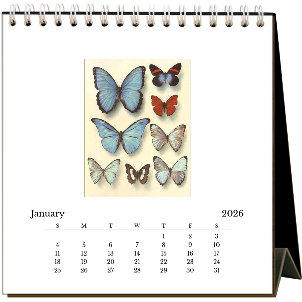 Found Image Press - Butterflies 2026 Desk Calendar