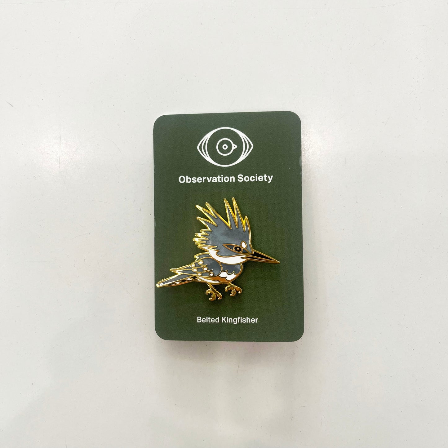 Observation - Belted Kingfisher - Bird Pin