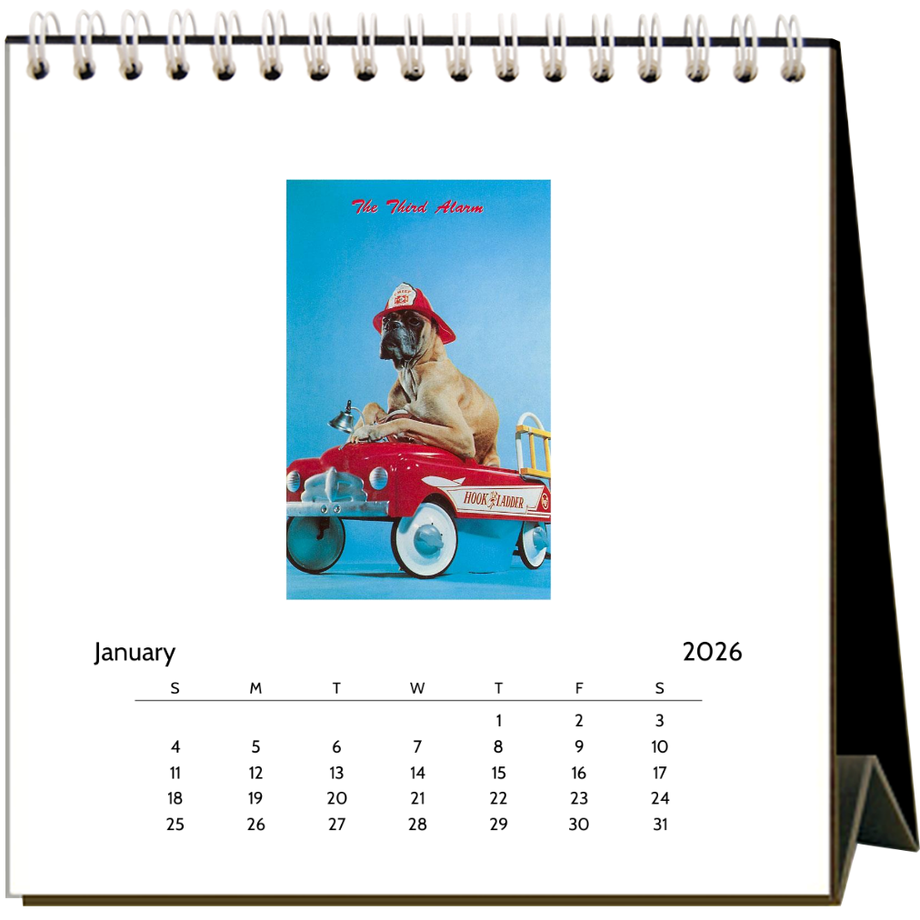 Found Image Press - Dogs 2026 Desk Calendar
