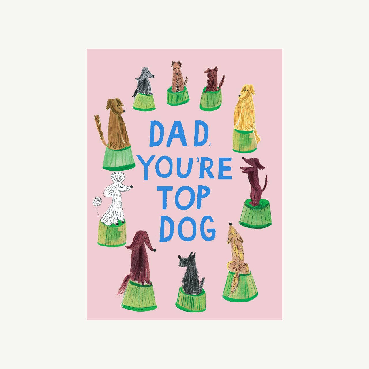 Mr. Boddington's Studio - Top Dog