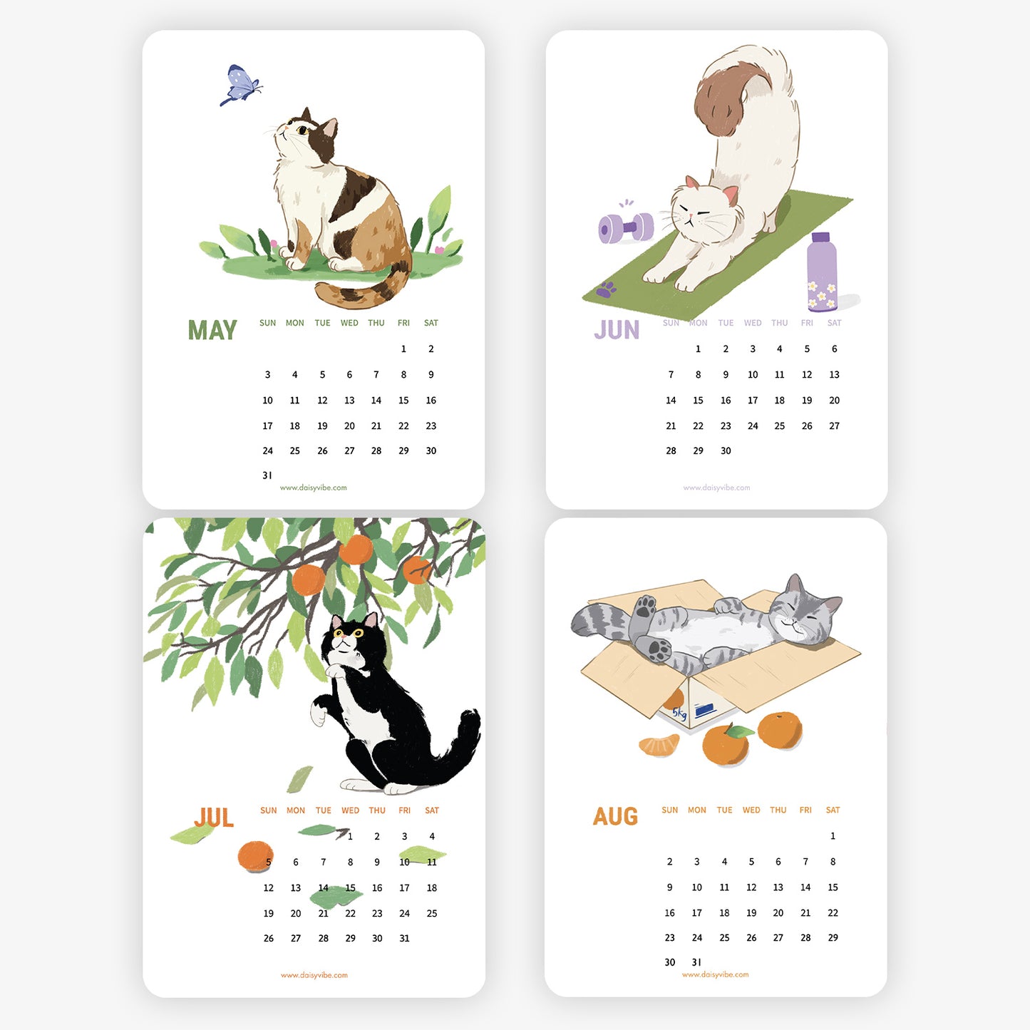 Daisy Vibe - Cat Calendar 2026