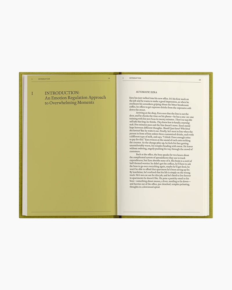 Therapy Notebooks - The Emotional Support Toolkit