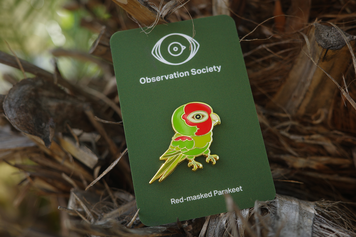 Observation Society - Red Masked Parakeet-Pin