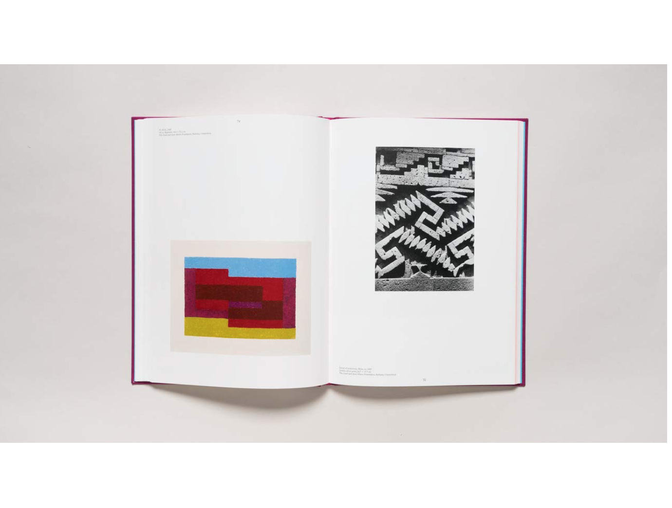 DAP - Josef Albers in Mexico