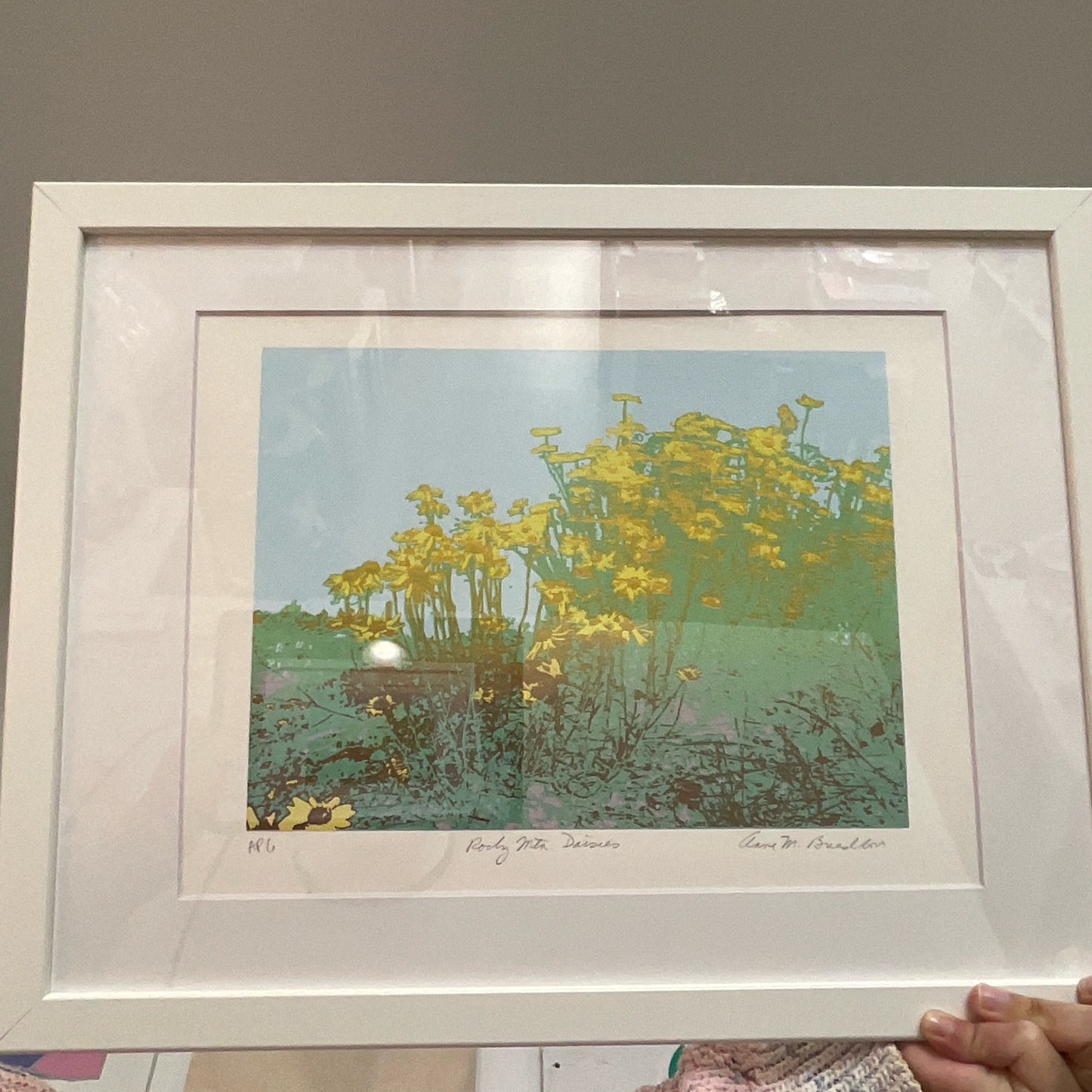 Anne Breedlove - Screenprint - Rody Mountain Daisies