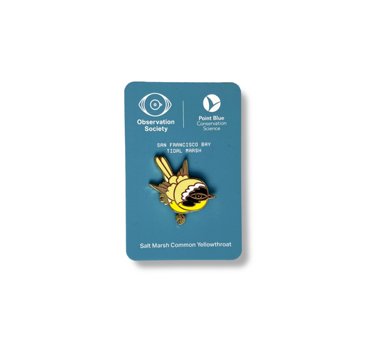 Observation - Salt Marsh Common Yellowthroat - Bird Pin