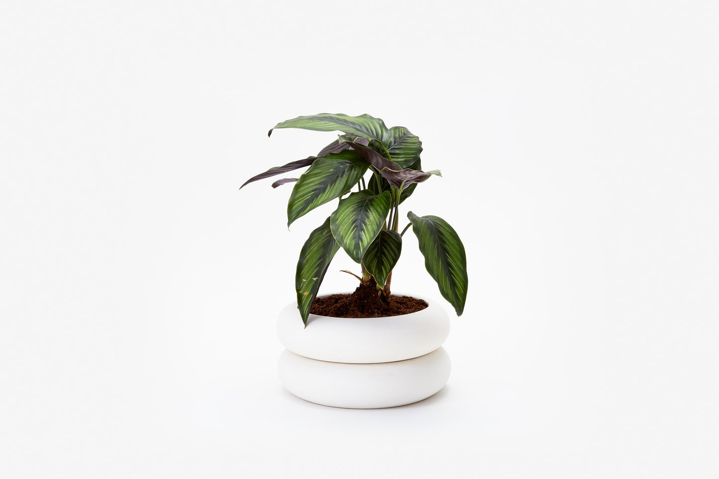 Areaware - Stacking Planter (Short)