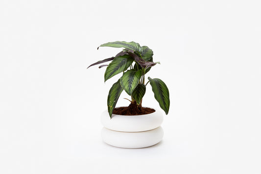 Areaware - Stacking Planter (Short)