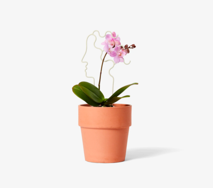 Areaware - Plant Trellis, Human (mini, white)