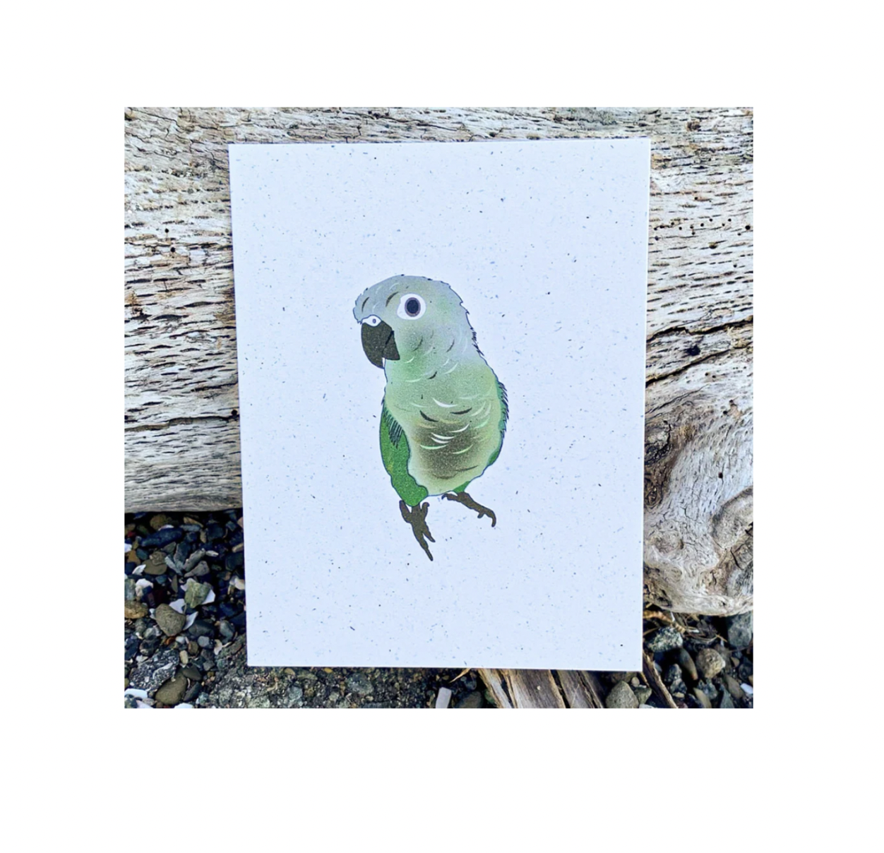 Hakuna matata - Blank - Bird Parrot