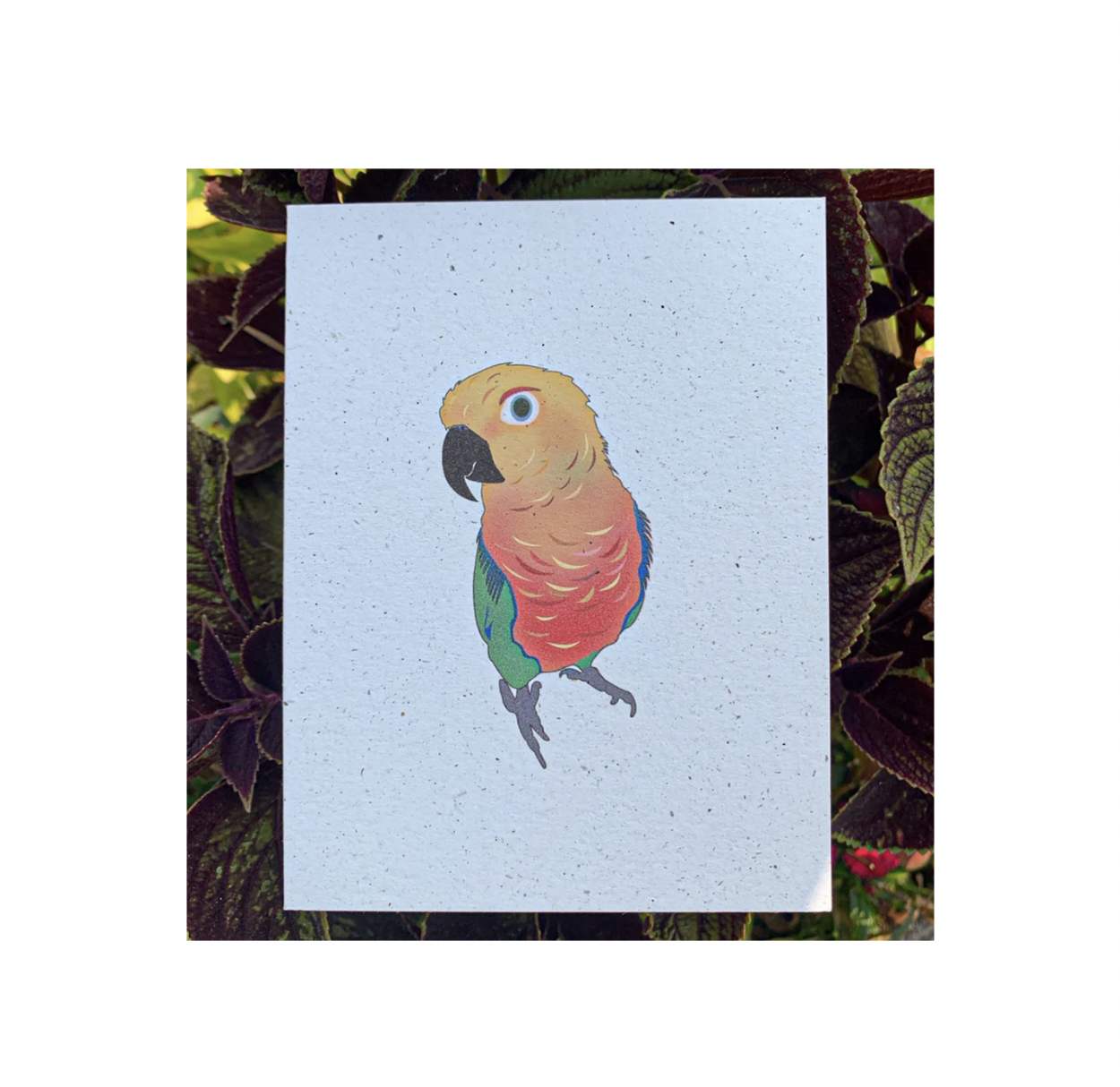Hakuna matata - Blank - Bird Parrot
