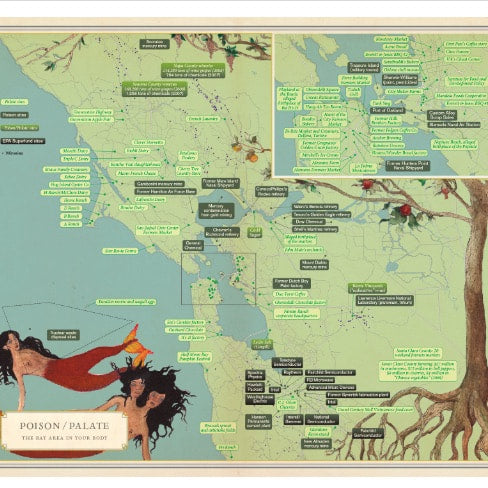 DAP - Infinite City: A San Francisco Atlas - Solnit, Rebecca