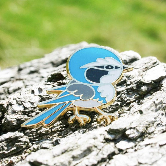 Observation - California Scrub-Jay - Pin