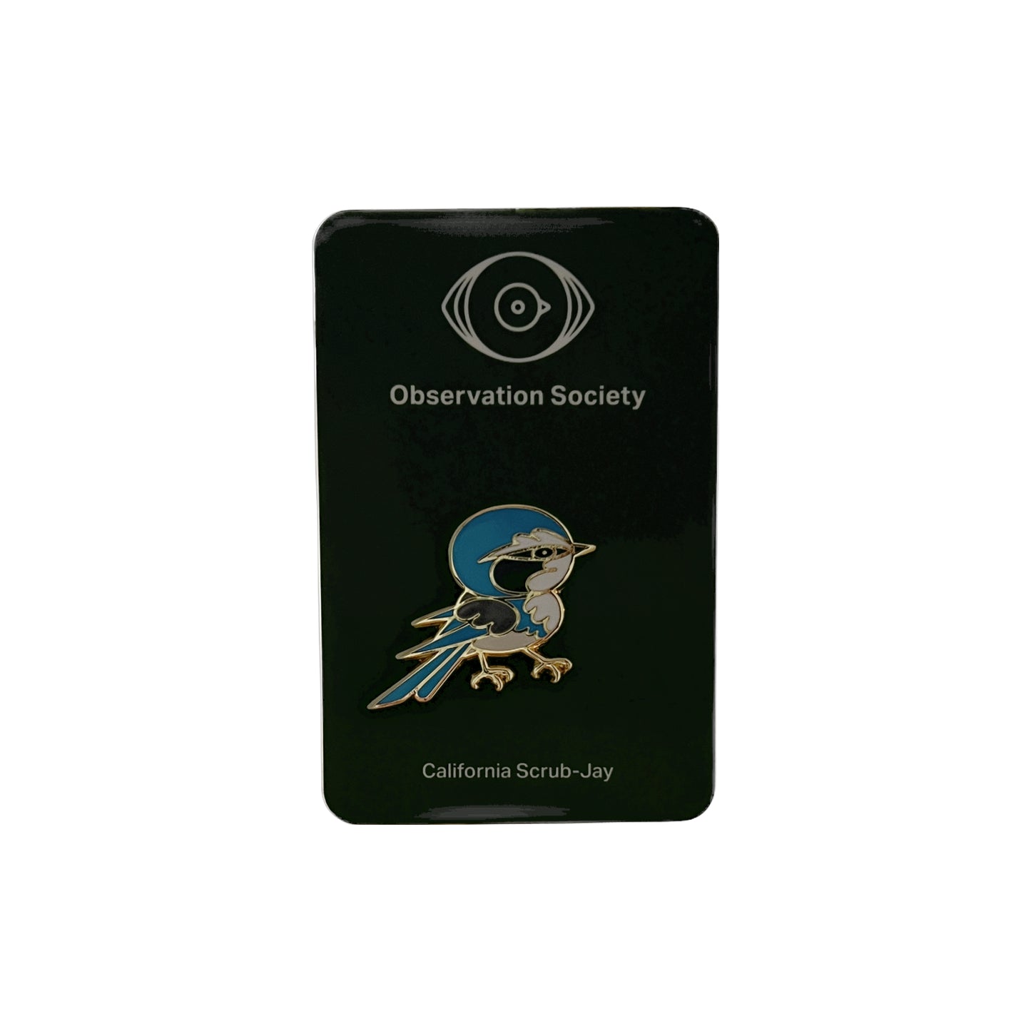 Observation - California Scrub-Jay - Pin