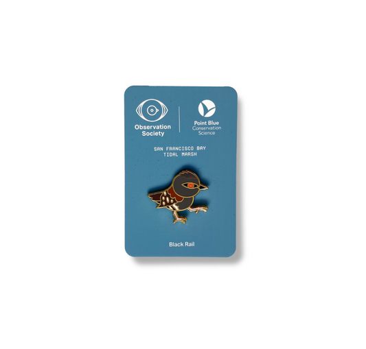 Observation - Black Rail -Bird Pin