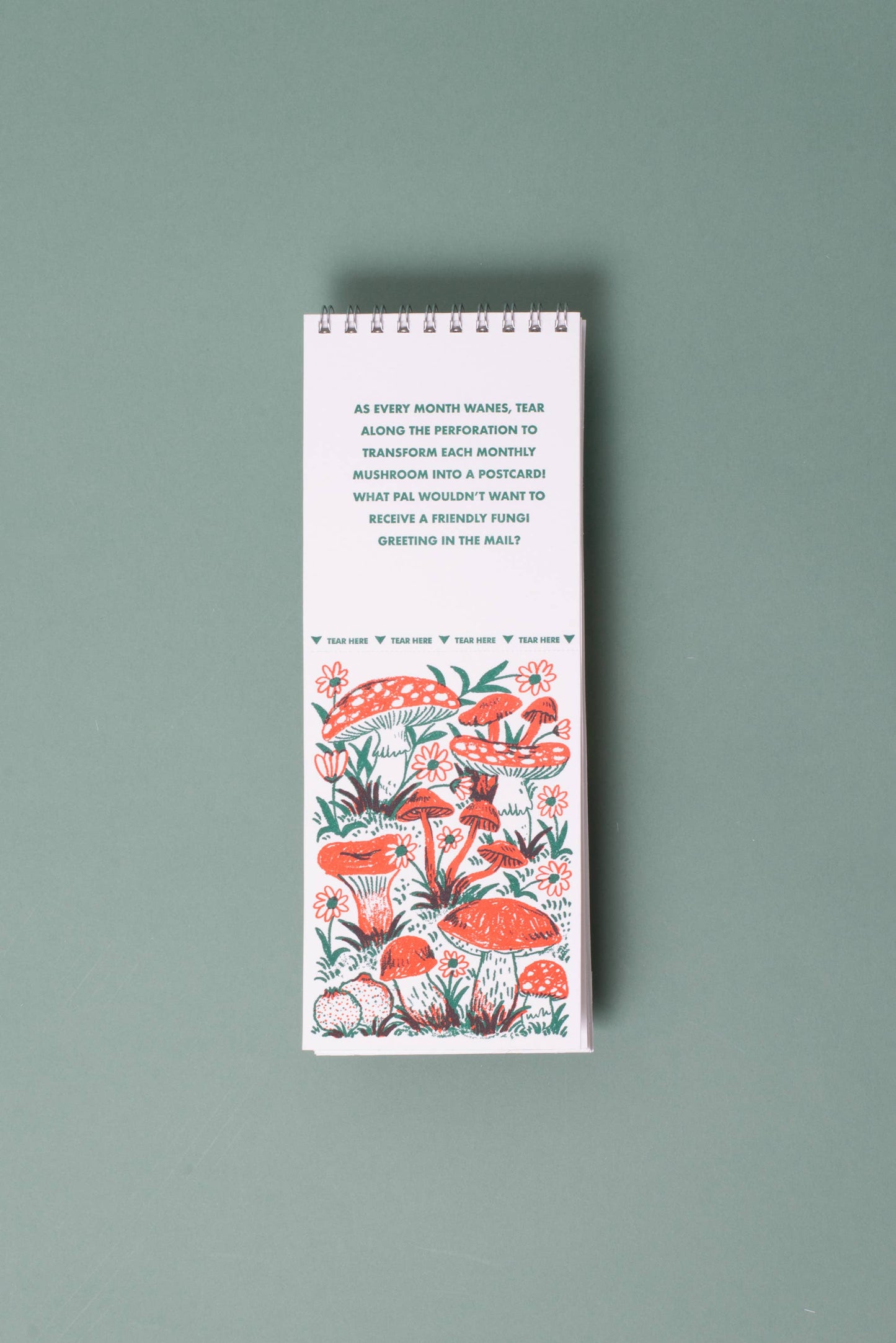 Egg Press - 2027 Gnomes & Mushrooms Postcard Wall Calendar Phoebe Wahl