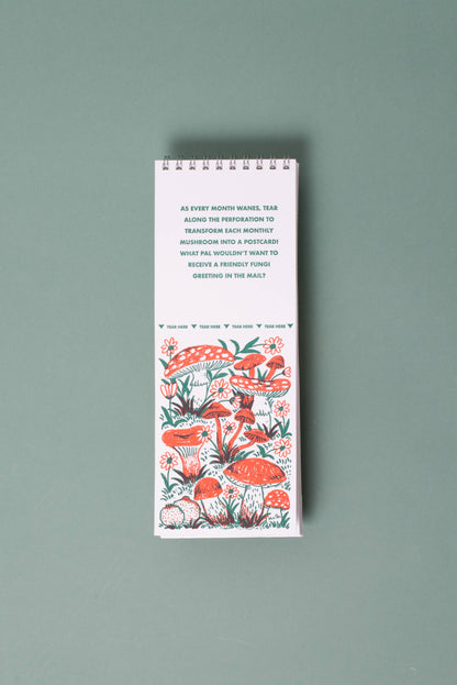 Egg Press - 2027 Gnomes & Mushrooms Postcard Wall Calendar Phoebe Wahl