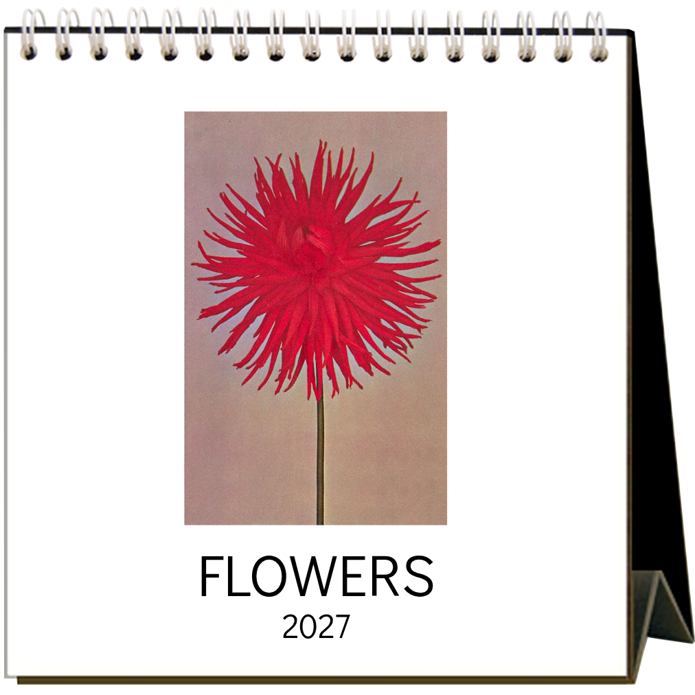 Found Image Press - Flowers 2027 Desk Calendar