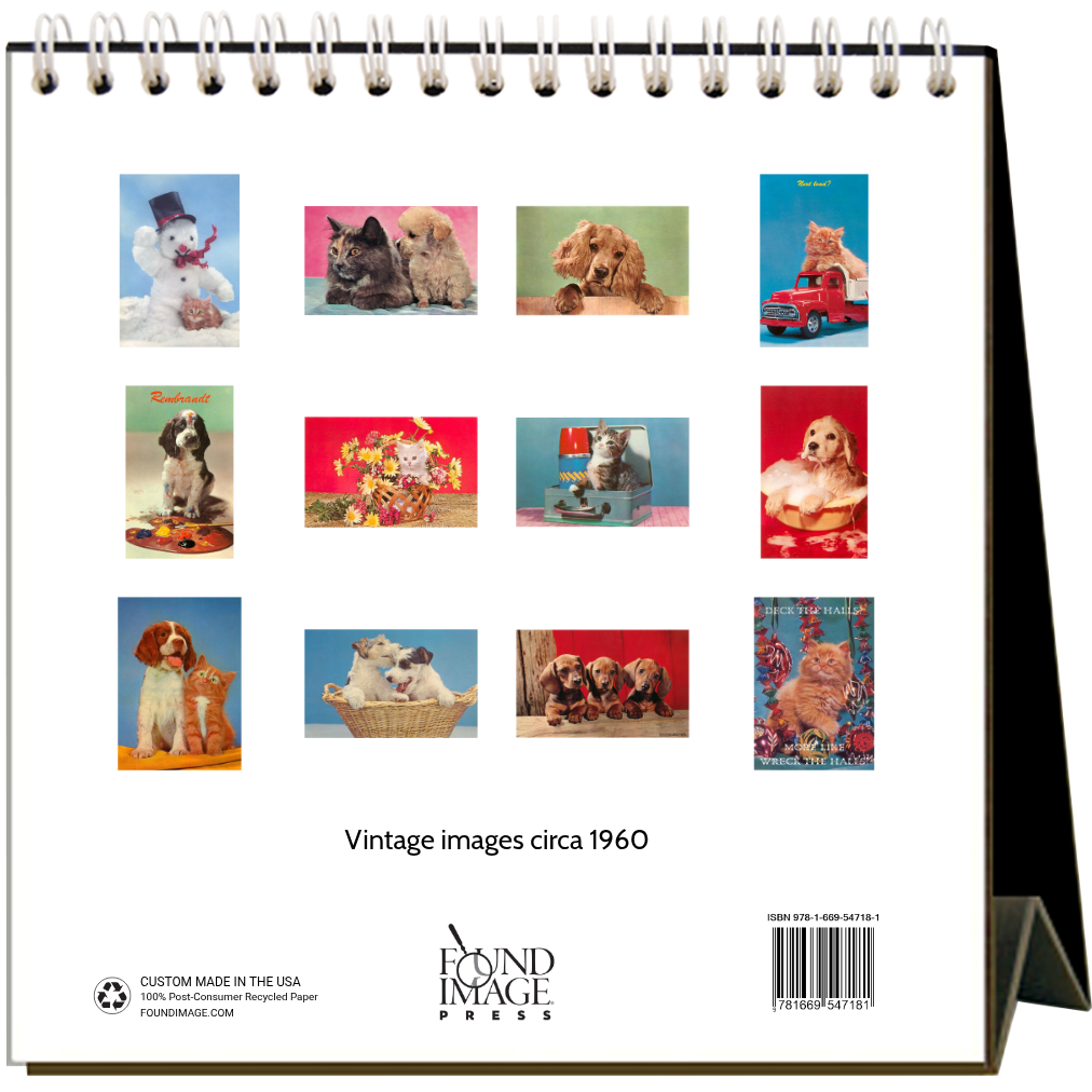Found Image Press - Kittens & Puppies 2027 Desk Calendar