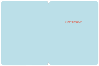 Willow & Ivy Press - Hello Handsome Birthday Card