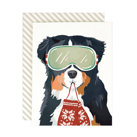 Amy Heitman - Bernese Ski Dog: Boxed Set of 8