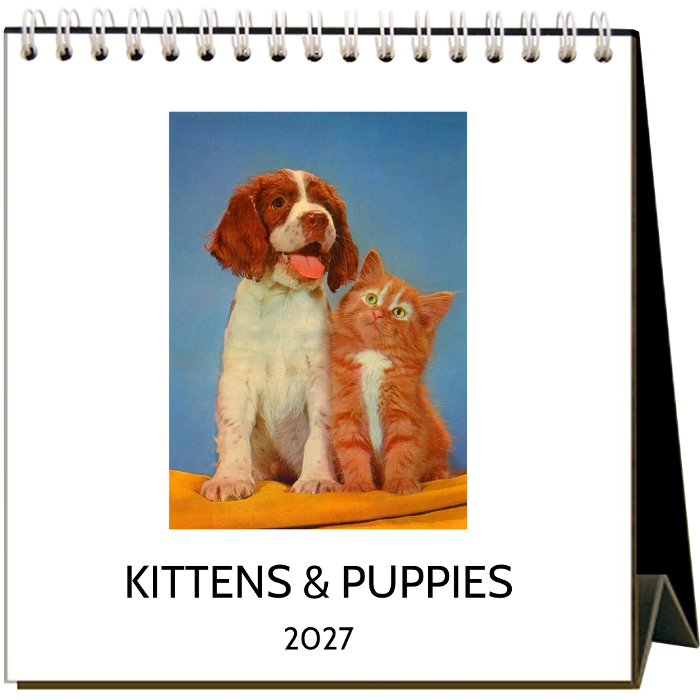 Found Image Press - Kittens & Puppies 2027 Desk Calendar
