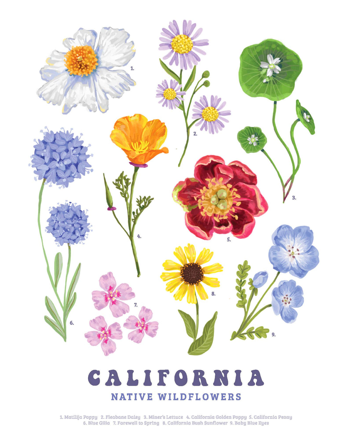 Brenna Daugherty Illustration - California Native Wildflowers Card