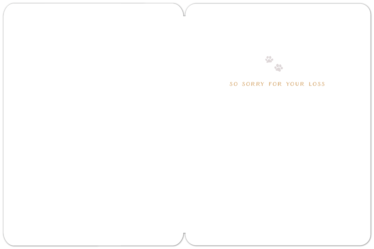 Willow & Ivy Press - Rainbow Bridge Pet Sympathy Card