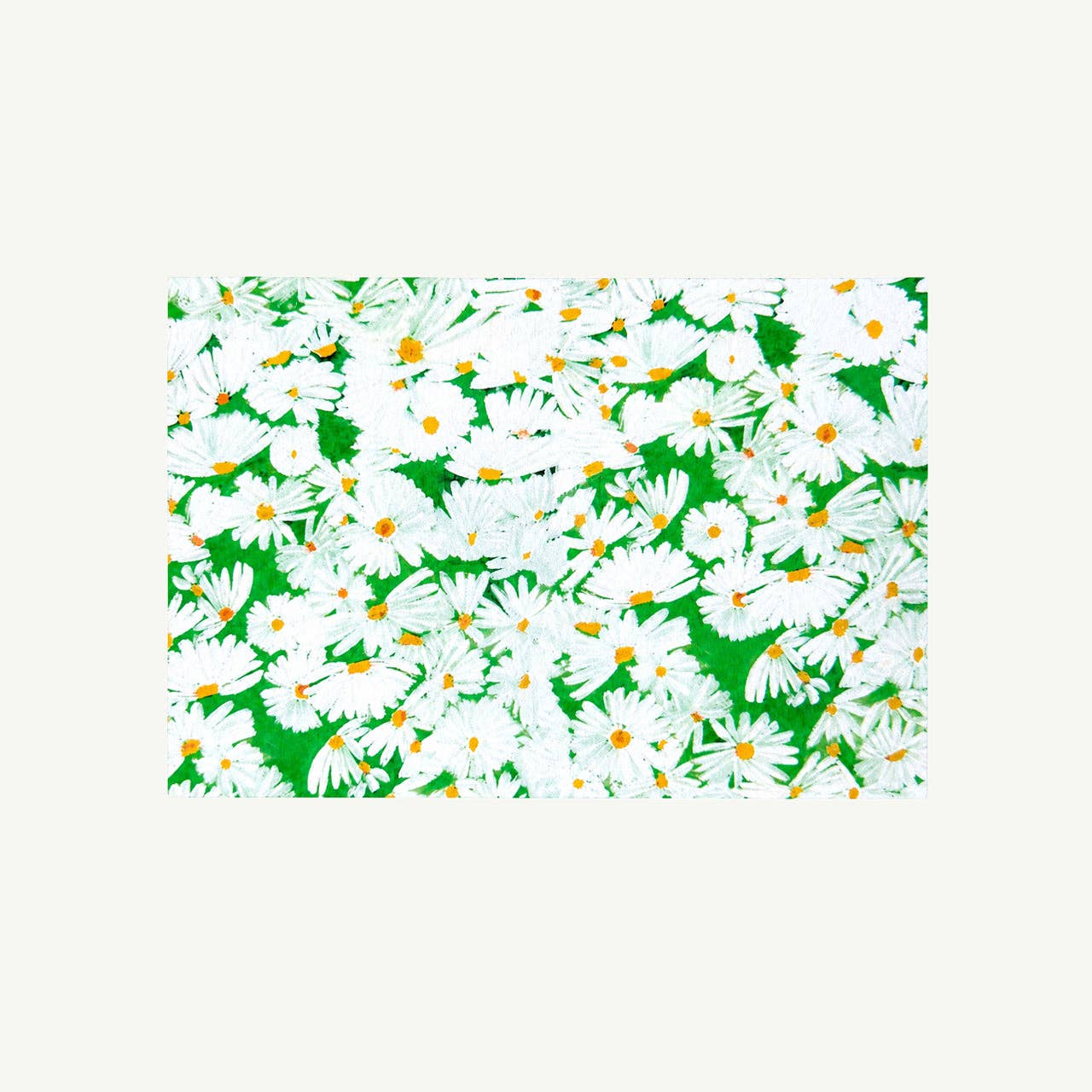 Mr. Boddington's Studio - Daisy Notecard Set