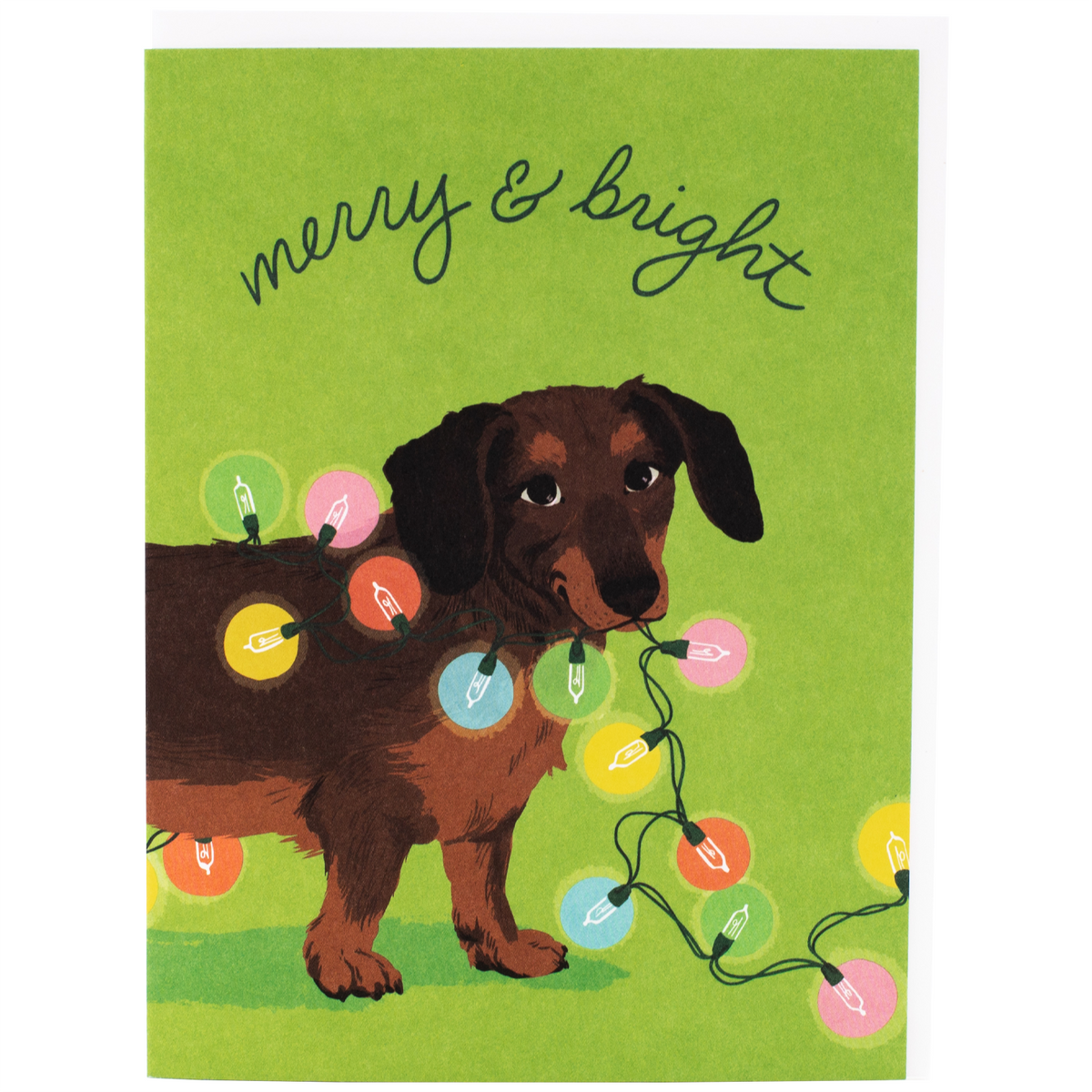 Smudge Ink - Dachshund & Twinkle Lights Holiday Card -