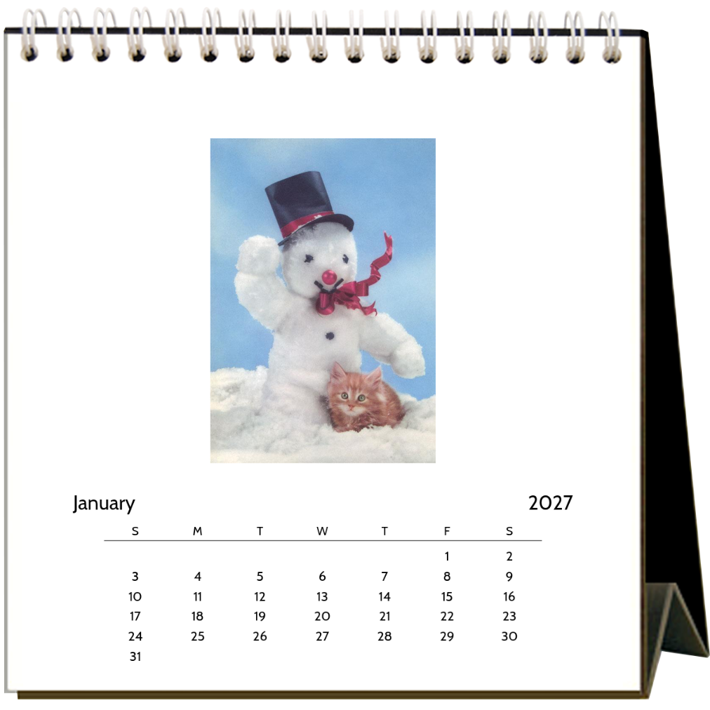 Found Image Press - Kittens & Puppies 2027 Desk Calendar