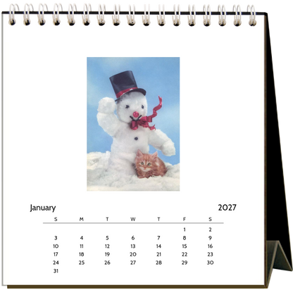 Found Image Press - Kittens & Puppies 2027 Desk Calendar