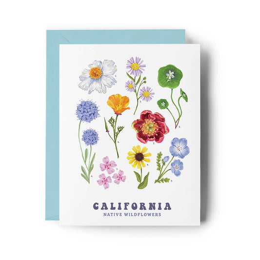 Brenna Daugherty Illustration - California Native Wildflowers Card