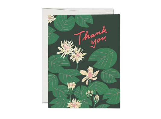 Red Cap Cards - Water Lilies thank you greeting card: Singles