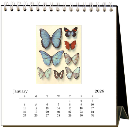 Found Image Press - Butterflies 2026 Desk Calendar