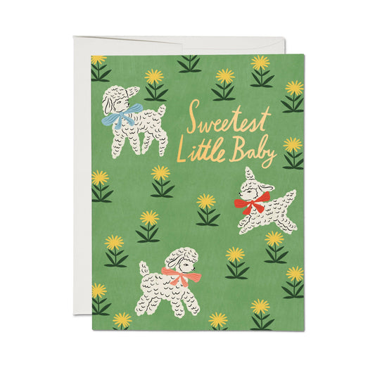 Red Cap Cards - Little Lamb greeting card: Single