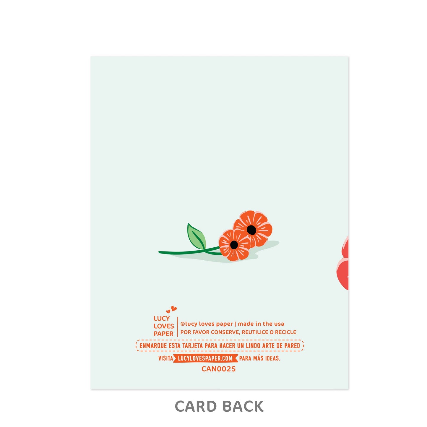 Lucy Loves Paper - Feliz Aniversário | Anniversary Card in Spanish & Portuguese