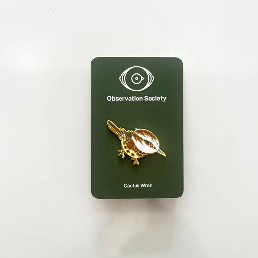 Observation - Cactus Wren - Bird Pin