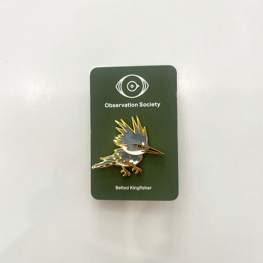 Observation - Belted Kingfisher - Bird Pin