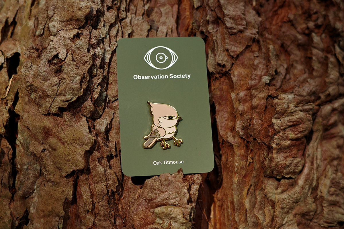 Observation Society - Oak Titmouse - Pin