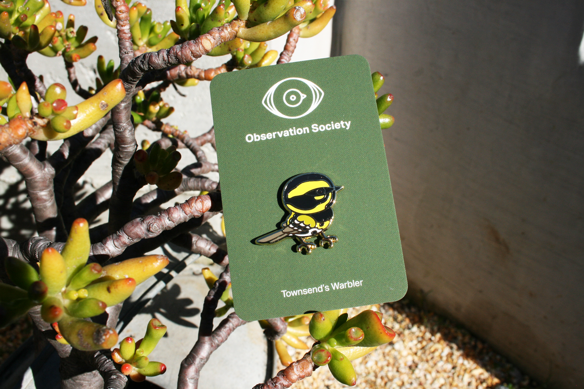 Observation Society - Townsend’s Warbler - Pin