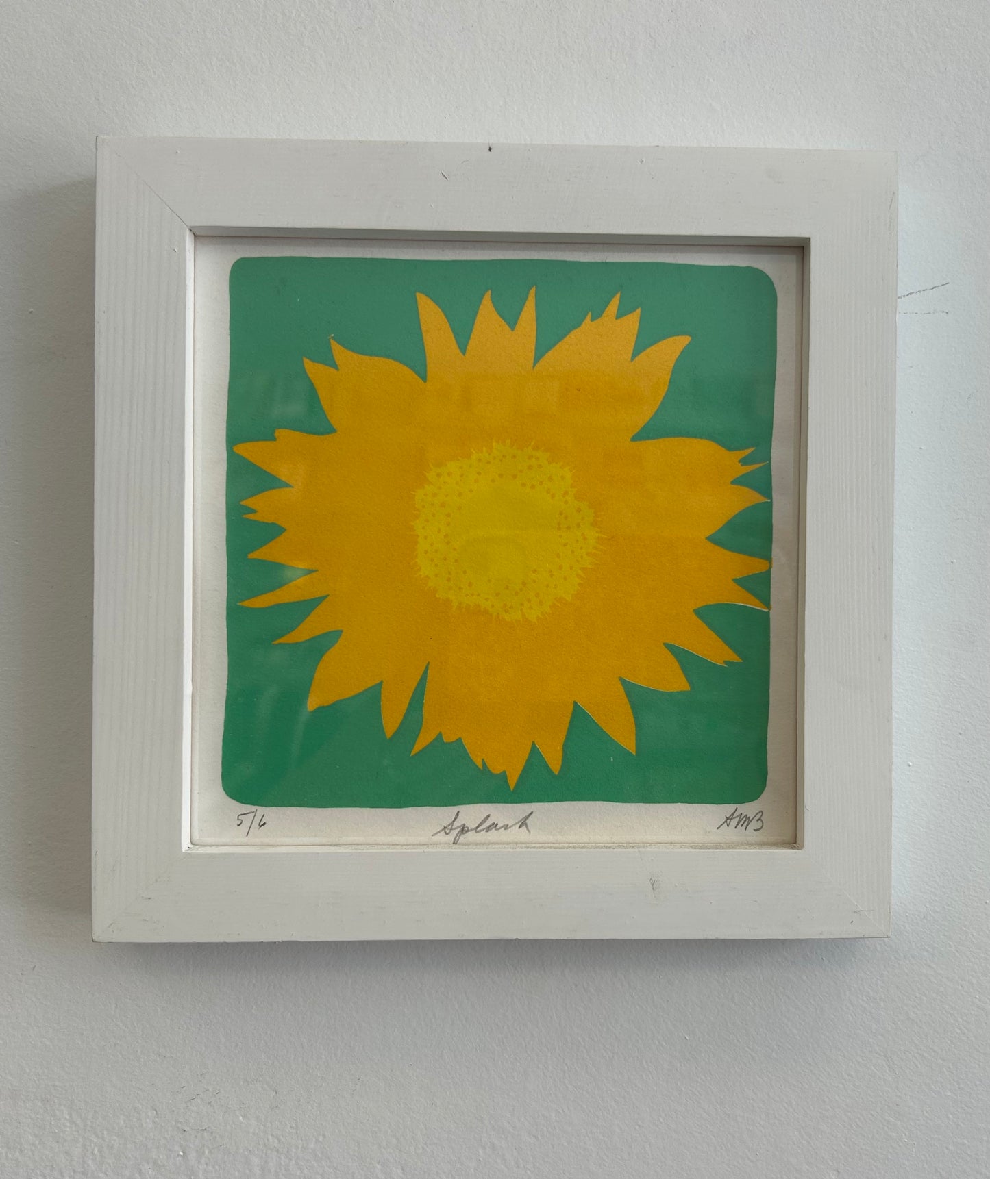 Anne M Breedlove - Screenprint - Splash