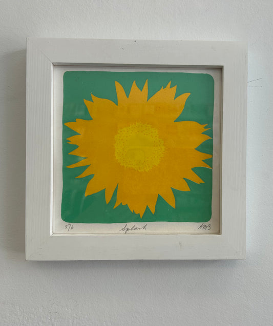 Anne M Breedlove - Screenprint - Splash