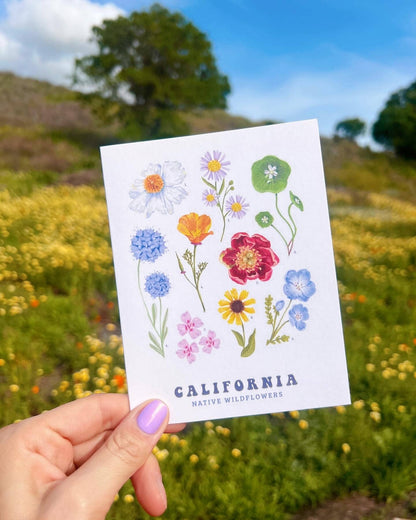 Brenna Daugherty Illustration - California Native Wildflowers Card