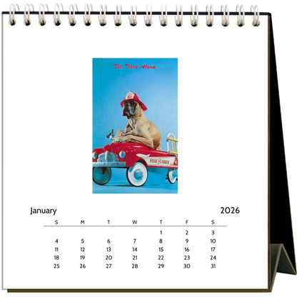 Found Image Press - Dogs 2026 Desk Calendar