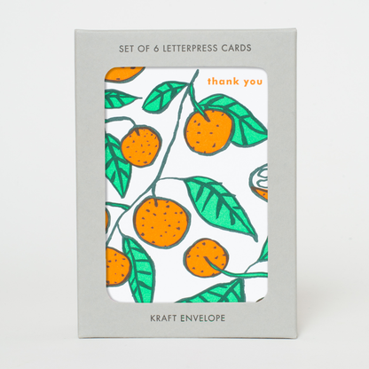 Egg Press - Citrus Thank You Greeting Card Box Set